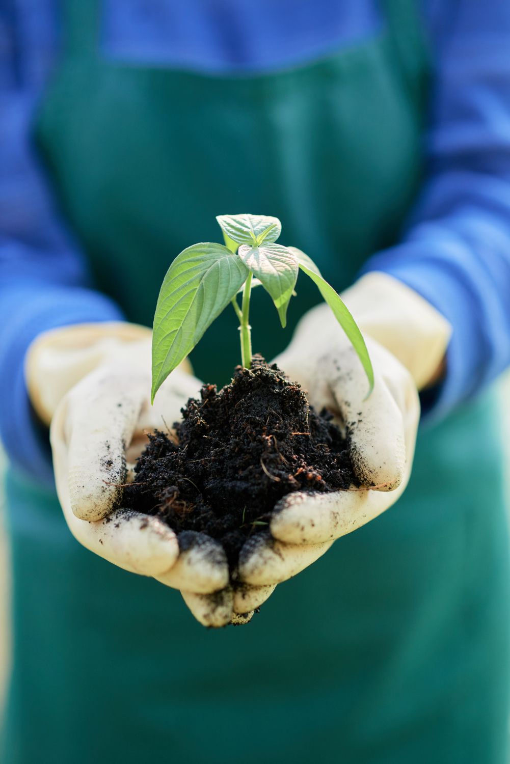 IFFCO: Promoting Organic Farming and Sustainable Agricultural Development