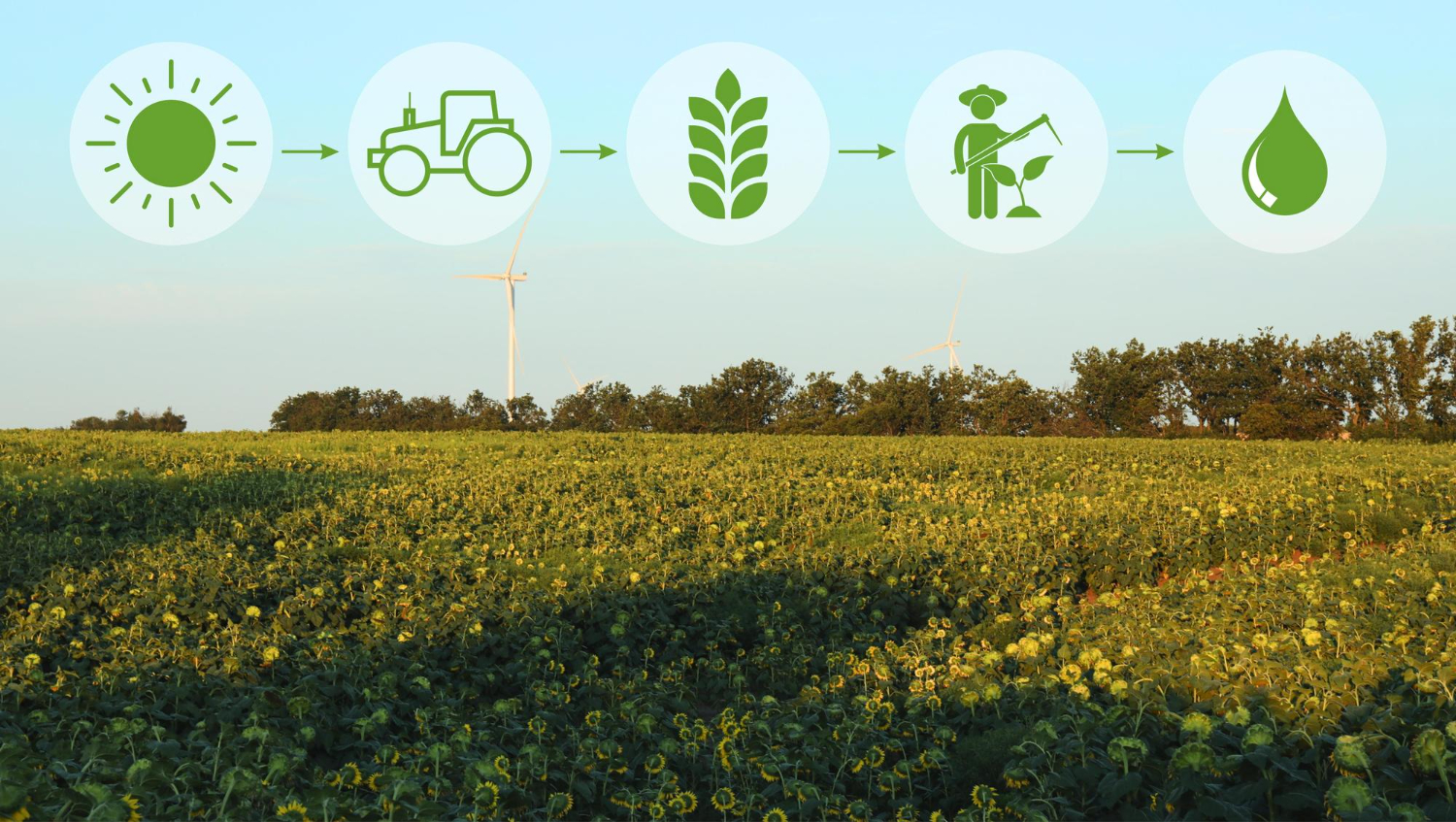 IFFCO: Leading the Way in Sustainable Agriculture and Farmer Development